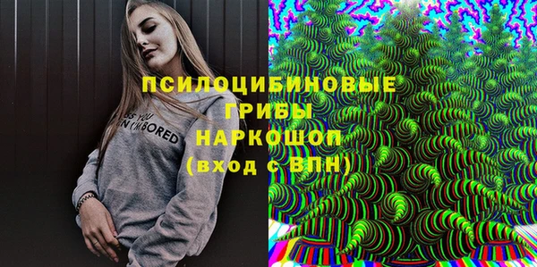 соль ск Белокуриха