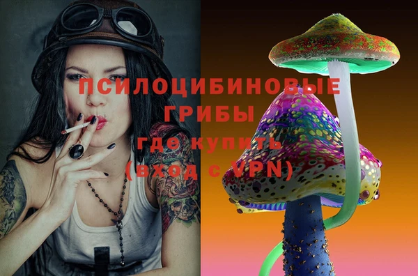 дурь Богородск