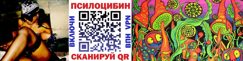 мориарти состав  Бологое  Псилоцибиновые грибы мицелий 